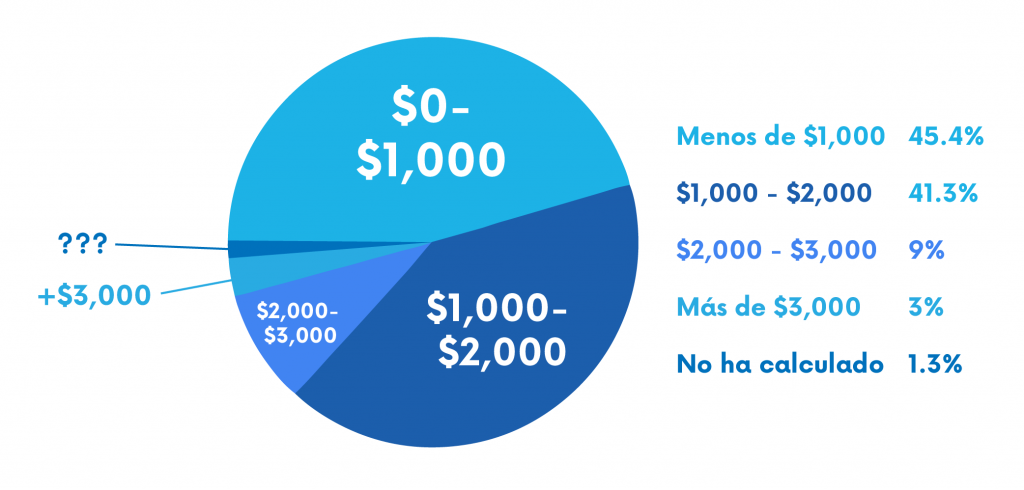 gastos de mascotas mensual