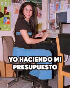 hacer presupuesto