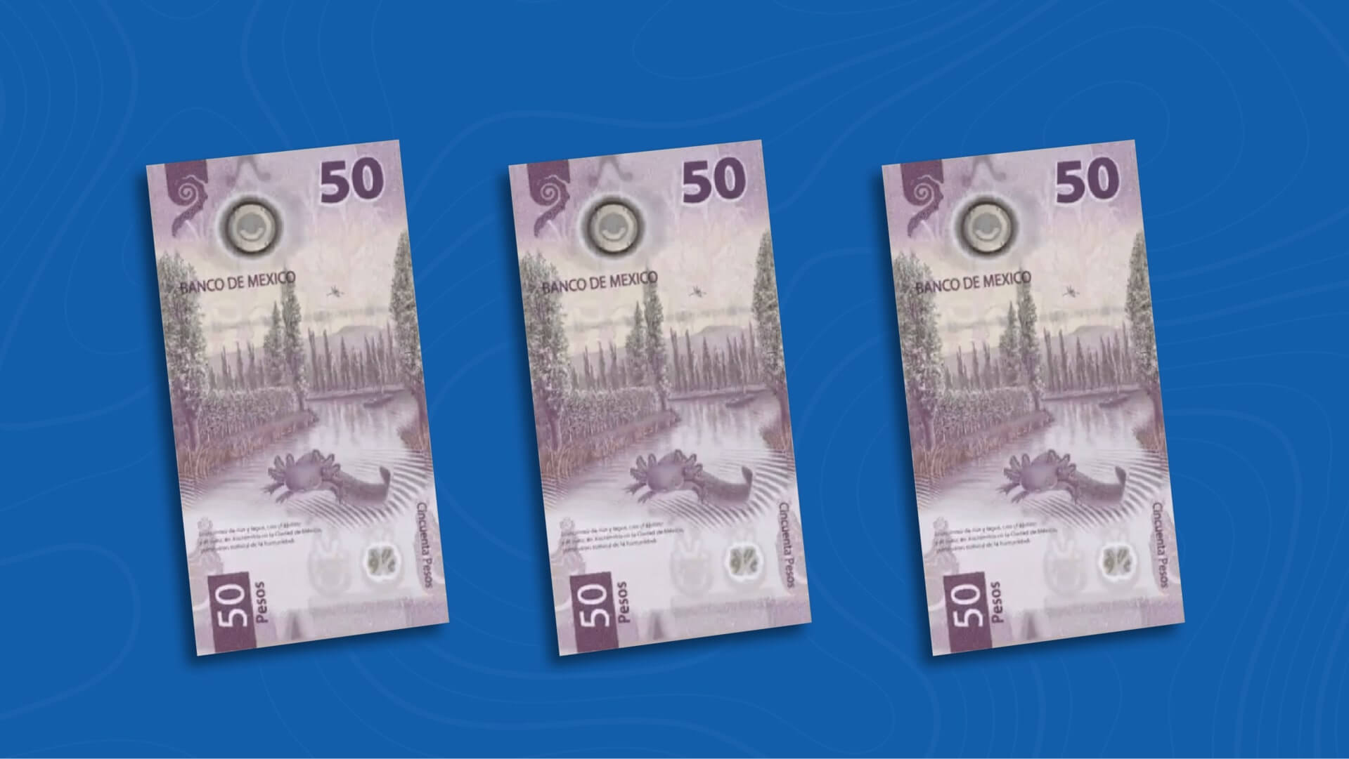 Cómo Hacen el Dinero en México