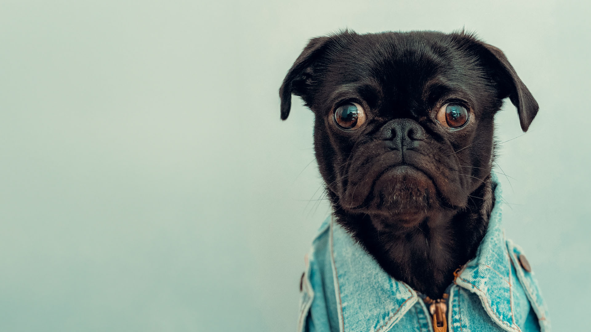 ¿Qué pasa si no pago mi tarjeta de crédito? Consecuencias y soluciones